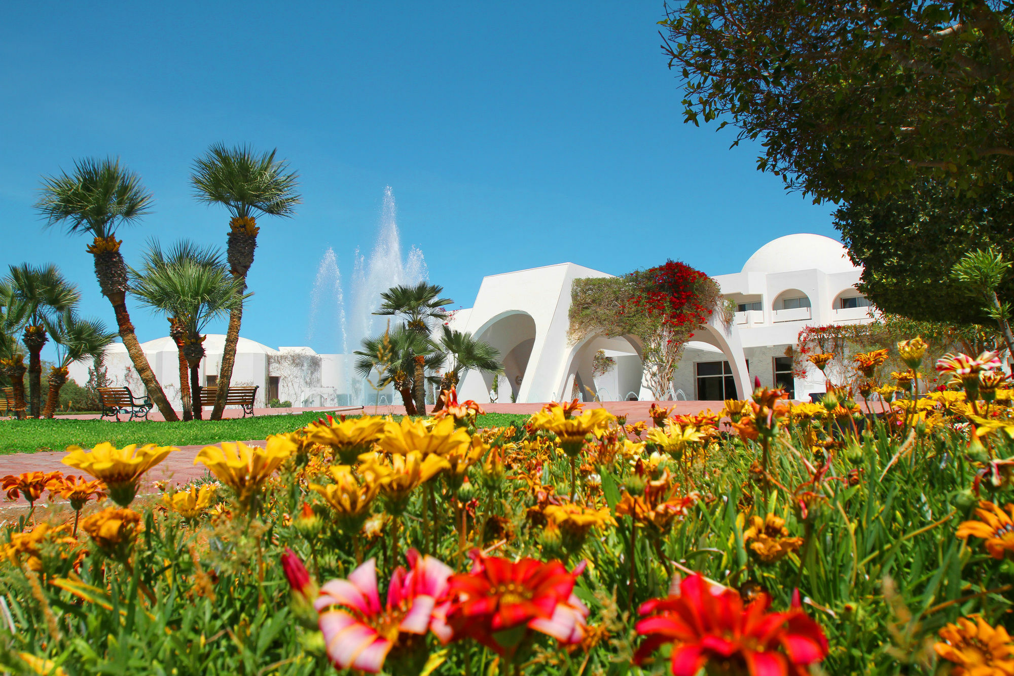 Djerba Plaza Thalasso & Spa 特里法 外观 照片